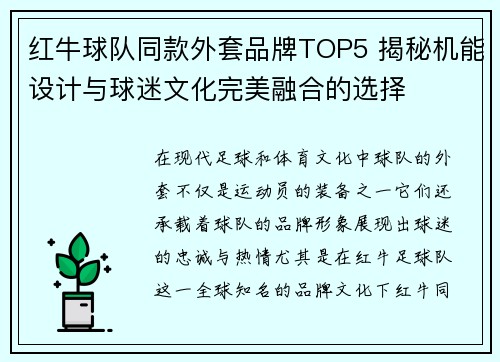 红牛球队同款外套品牌TOP5 揭秘机能设计与球迷文化完美融合的选择